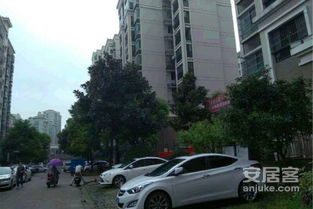 临泉口碑房产怎么样