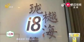 占用查封房产怎么办理 占用查封房产怎么办理