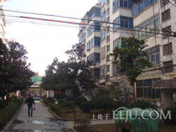 合肥红果房产怎么样