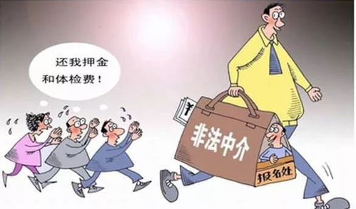 怎么仲裁房产中介诈骗