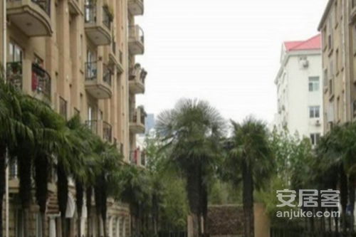 园博公馆怎么交易房产 园博公馆怎么交易房产