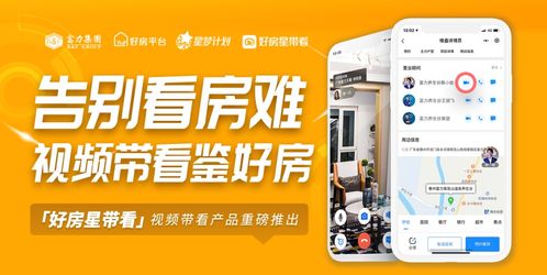 房产代理直播怎么做