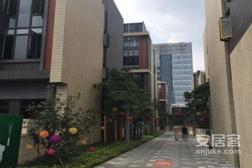 睿琪房产怎么样