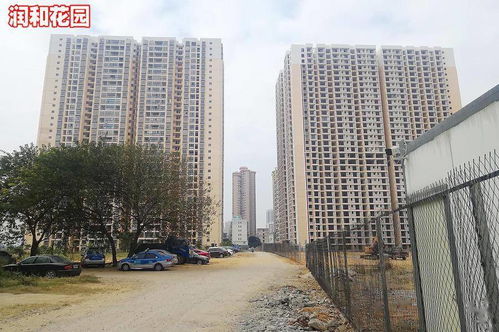 房产博主乱象怎么解决 房产博主乱象怎么解决