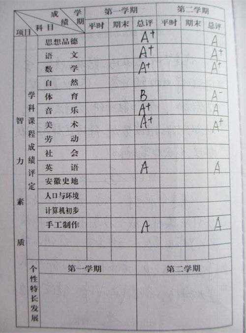 闲置房产处置进度怎么写