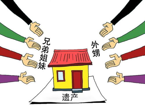 舅舅继承外甥房产怎么分