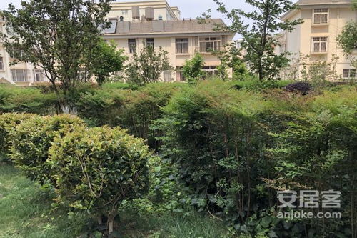 婺源天源房产怎么样