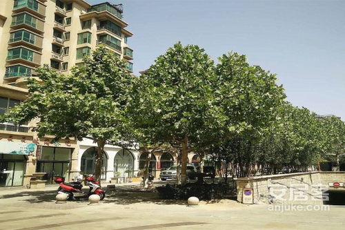 婺源天源房产怎么样