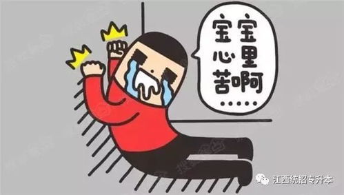 怎么跟中介沟通房产呢