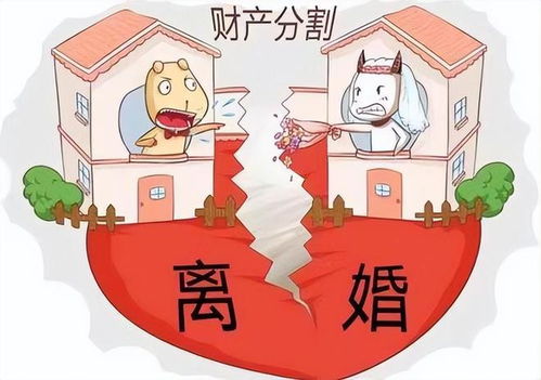 涉外离婚国内房产怎么分