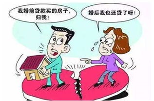老人婚后房产怎么分