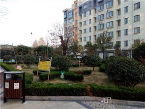 临沭史丹利房产怎么样