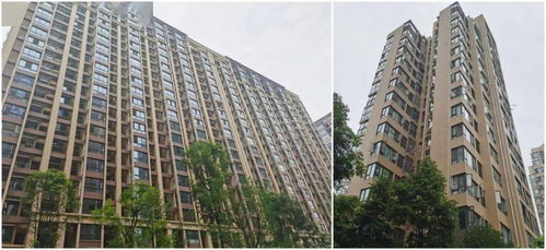 大壮金融房产怎么样