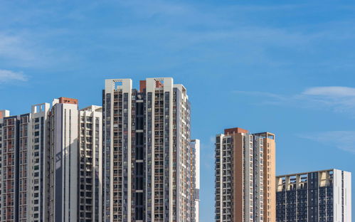 大壮金融房产怎么样