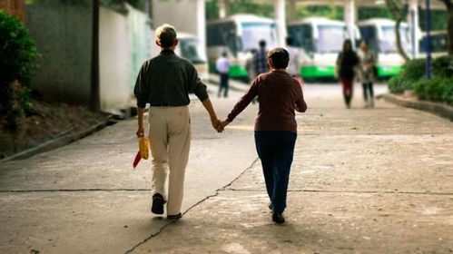 骗走母亲房产怎么办