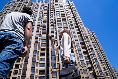 嘉鱼中介房产怎么样