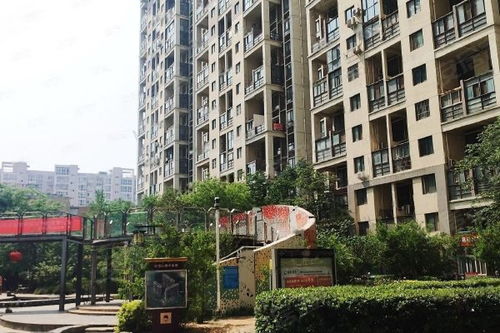 春晓大麦房产怎么样