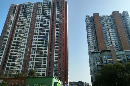 长虹国际房产怎么样