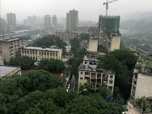 手里多处房产怎么处理的