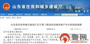 曝光违规房产怎么处理的