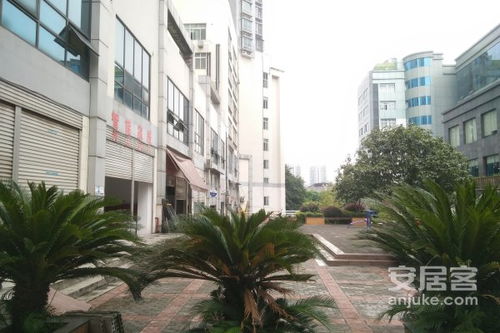 多伦蜂巢房产怎么样