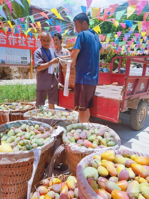 乡镇房产怎么查询所属人
