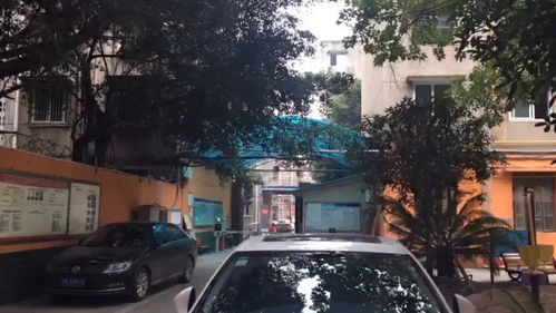 外景房产直播怎么样