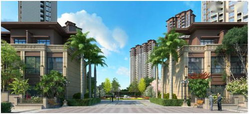 外景房产直播怎么样