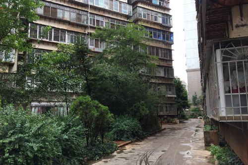 西华房产买房怎么样