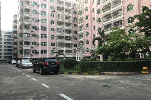 湛江小房产怎么样