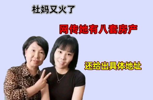 杜妈房产怎么处理了