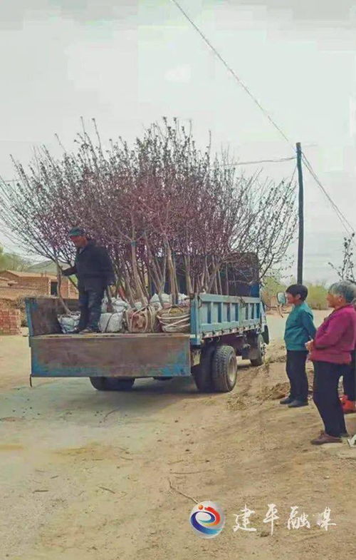 父子争房产怎么处理好