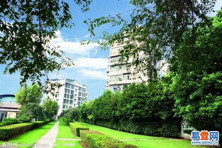 高碑店没有房产怎么上学