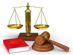 怎么样去房产公正