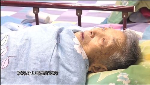 把房产分给孙女怎么过户