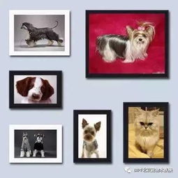 房产证相框怎么画