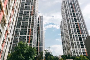 天怡房产怎么了