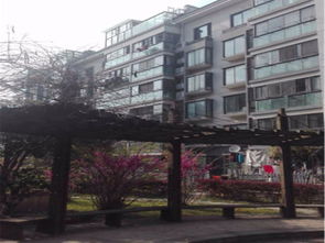 永济清华房产怎么样