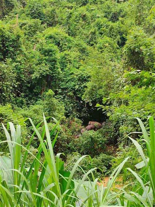 房产例会群文案怎么写 房产例会群文案怎么写