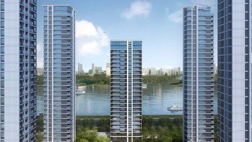 柳江怎么查名下房产