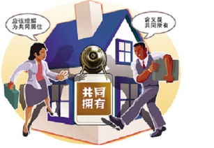 共同共有的房产怎么分配