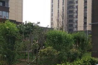 未完工的房产怎么处理