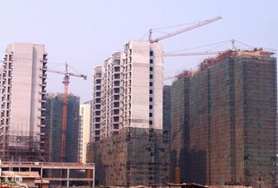 台州天台怎么查自己房产