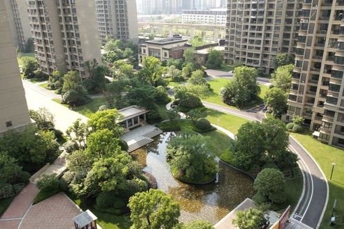 新力龙湾房产怎么样