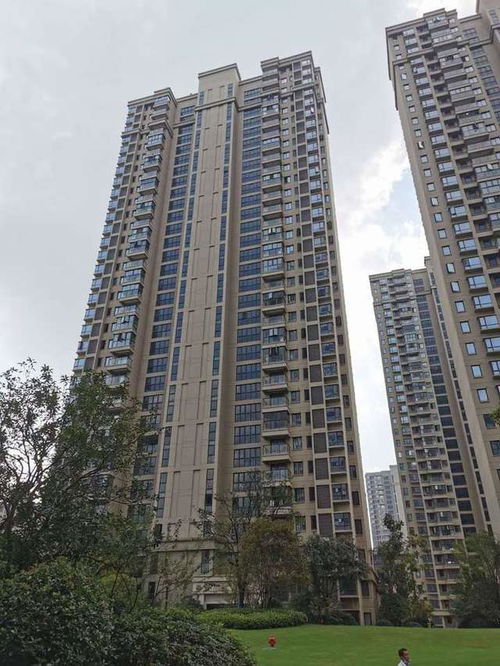 新力龙湾房产怎么样