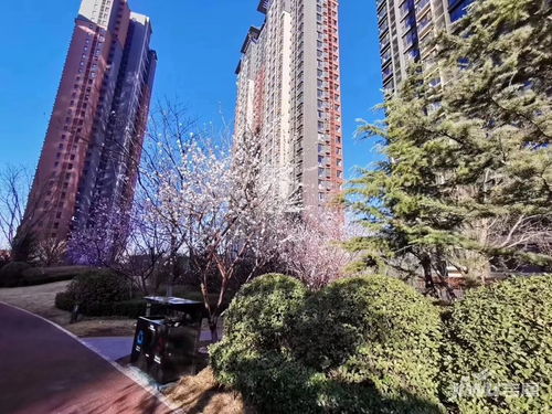 河北燕郊房产怎么样