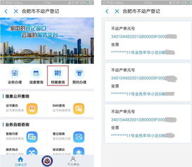 合肥怎么查名下房产
