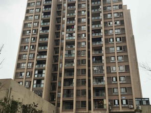 金北房产怎么样