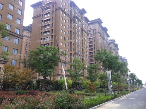 三六五房产怎么样