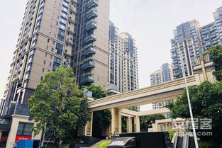 中洲集团房产怎么样